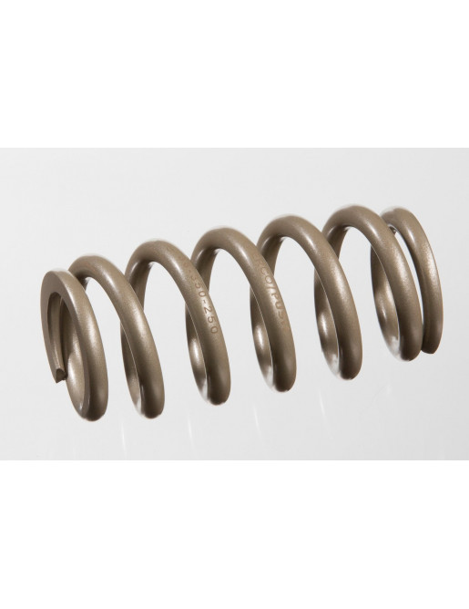 PUSH 11.6-coil spring